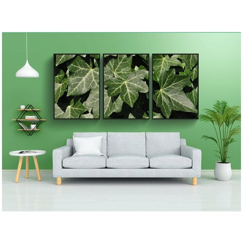 фото Набор модулных постеров для интерьера "плющ, листья, зеленый" 60x90 см. в тубусе, без рамки lotsprints