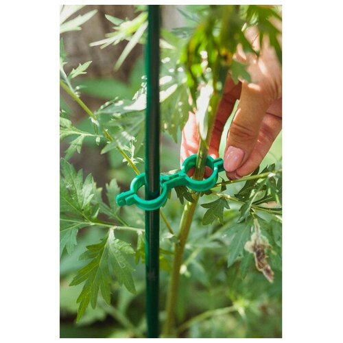 фото Кольцо-фиксатор для растений, d = 20 мм, набор 100 шт., зелёный mikimarket