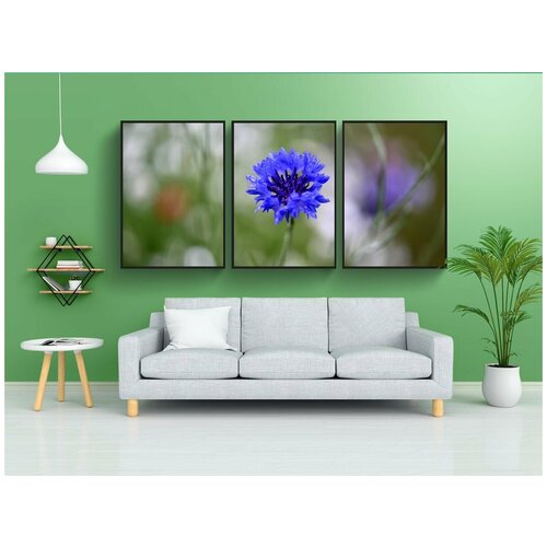 фото Набор модулных постеров для интерьера "васильковый, цветок, цвести" 60x90 см. в тубусе, без рамки lotsprints