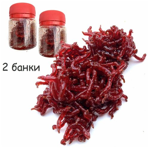 Съедобная белковая приманка Мотыль искусственный 30гр 2 шт 469₽