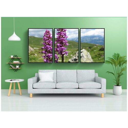 фото Набор модулных постеров для интерьера "дикая орхидея, полевой цветок, розовый цветок" 60x90 см. в тубусе, без рамки lotsprints