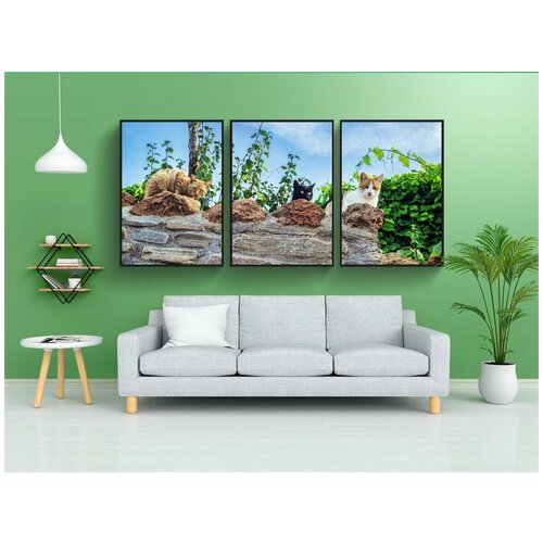 фото Набор модулных постеров для интерьера "кошки, кошачьи, домашние питомцы" 60x90 см. в тубусе, без рамки lotsprints