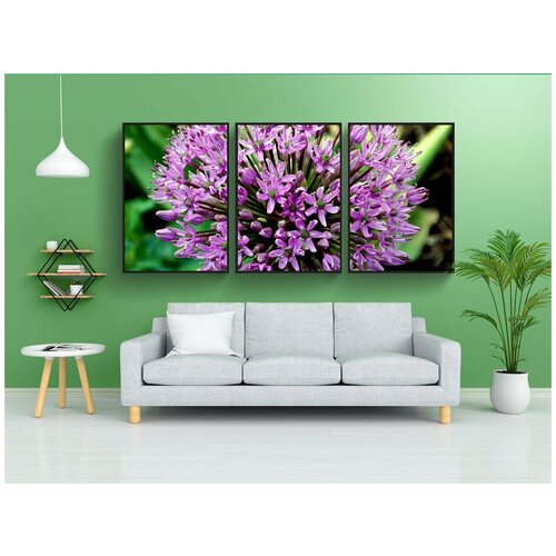 фото Набор модулных постеров для интерьера "декоративные лук, цветок, садовый цветок" 60x90 см. в тубусе, без рамки lotsprints