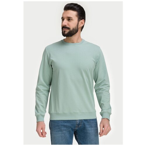 Свитшот мужской GREG G121-OZ02-2020 (минт), Прямой силуэт / Сlassic fit, цвет Зеленый, размер 56-58