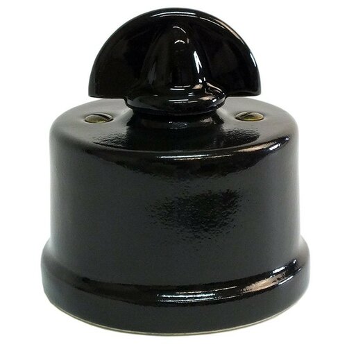 Выключатель поворотный, 2 кл., Edisel, Тerra, SWTRNRCC-2, черный