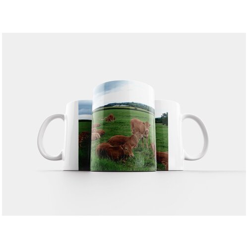 фото Кружка "коровы, широкий, пейзаж" 320 мл lotsprints