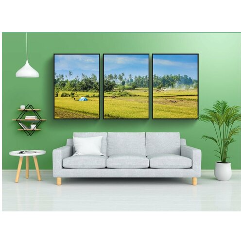 фото Набор модулных постеров для интерьера "рис, поля, природа" 60x90 см. в тубусе, без рамки lotsprints