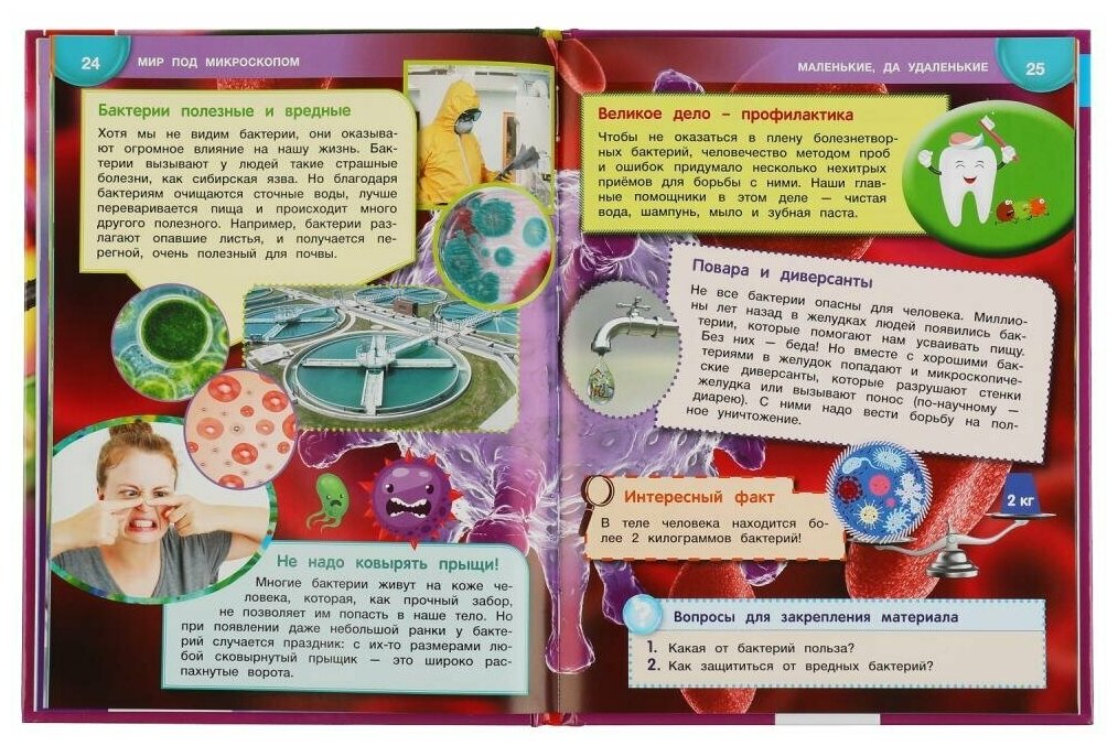Мир Под Микроскопом. Энциклопедия А4 С Развивающими Заданиями. - фото №20