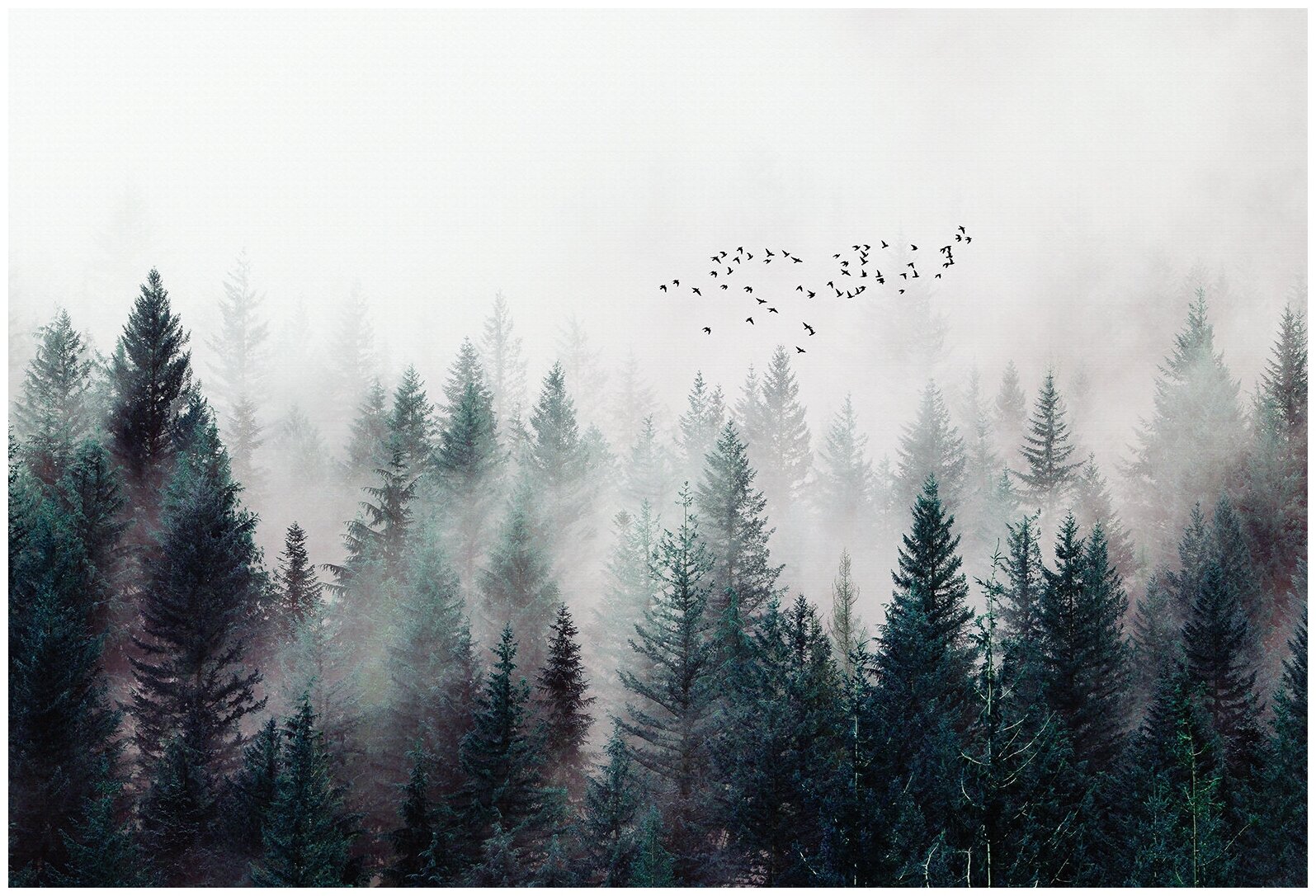 Фотообои / флизелиновые обои Туманный лес 4 x 2,7 м