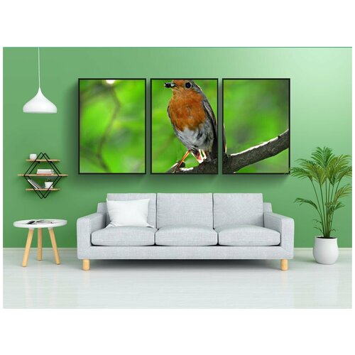 фото Набор модулных постеров для интерьера "робин, песня птица, животное" 60x90 см. в тубусе, без рамки lotsprints
