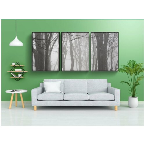 фото Набор модулных постеров для интерьера "буковый лес, туман, лес" 60x90 см. в тубусе, без рамки lotsprints