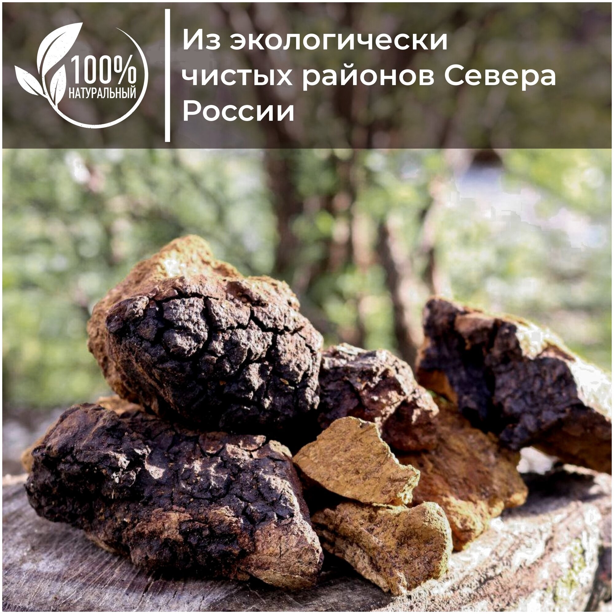 Чага-чай "Хозяин Тайги", 75 грамм, натуральная березовая чага 100% (chaga) - фотография № 6