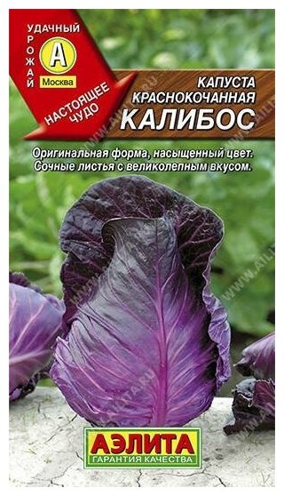 Семена. Капуста краснокочанная 