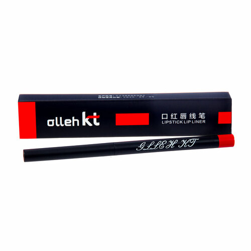 SUI Карандаш для губ автоматический водостойкий тон 3 334₽