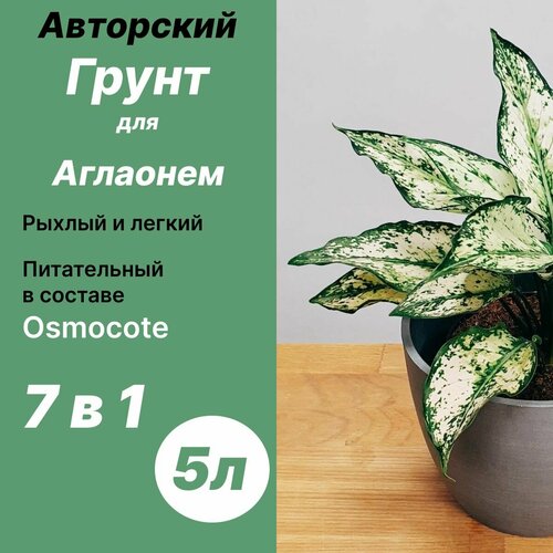 фото Грунт для аглаонем 5л / бионика