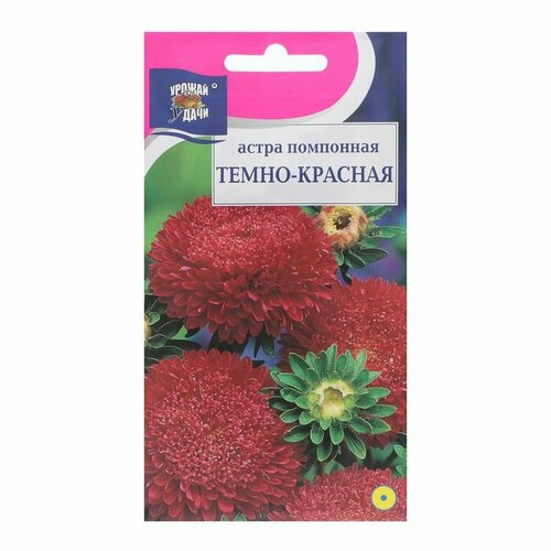 Семена цветов Астра Помпонная, Темно-красная, 0,3 г ( 1 упаковка ) астра монтезума красная 100 семян