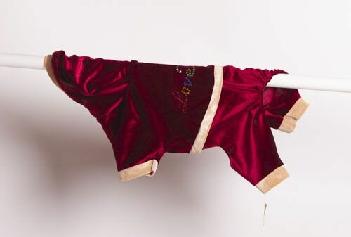 Спортивный костюм №1 для мелких пород, цвет бордовый с рисунком "Love"