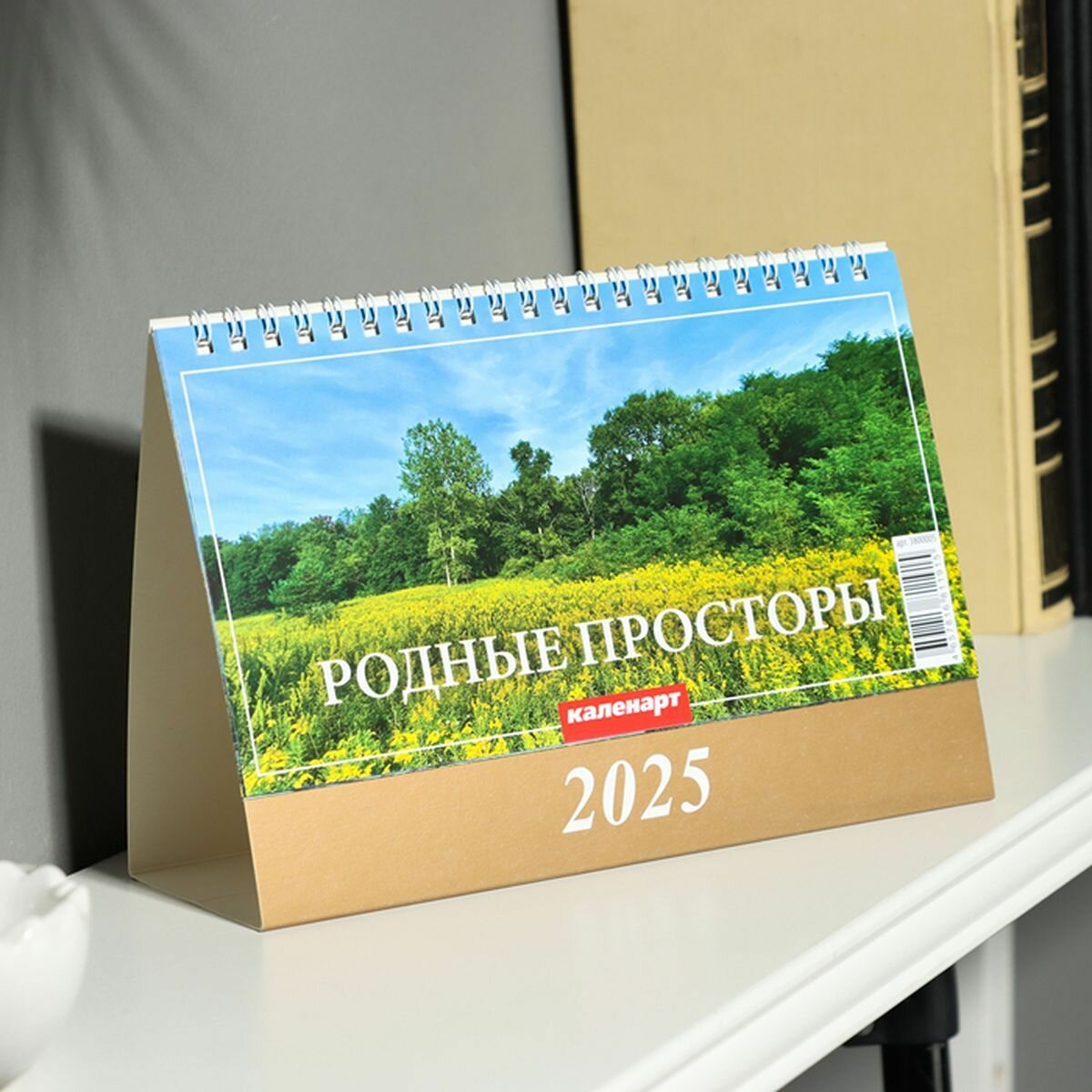 Календарь настольный, домик "Родные просторы" 2025, 14 х 20 см, 1 шт.