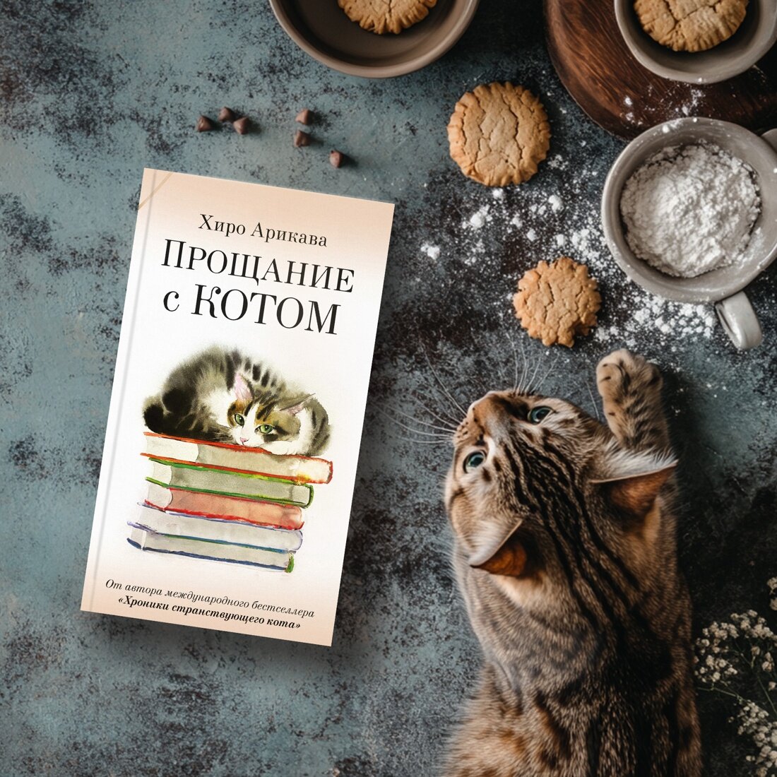Прощание с котом (Хиро Арикава) - фото №12