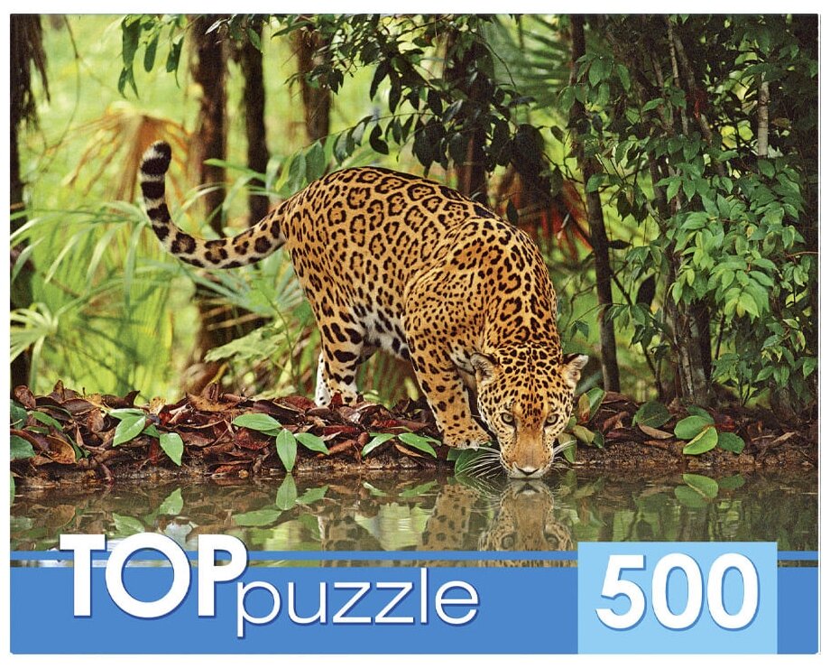 TOPpuzzle-500 "Ягуар на водопое" (КБТП500-6801) Рыжий кот - фото №1