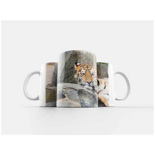 фото Кружка "тигр, зоопарк, большой кот" 320 мл lotsprints