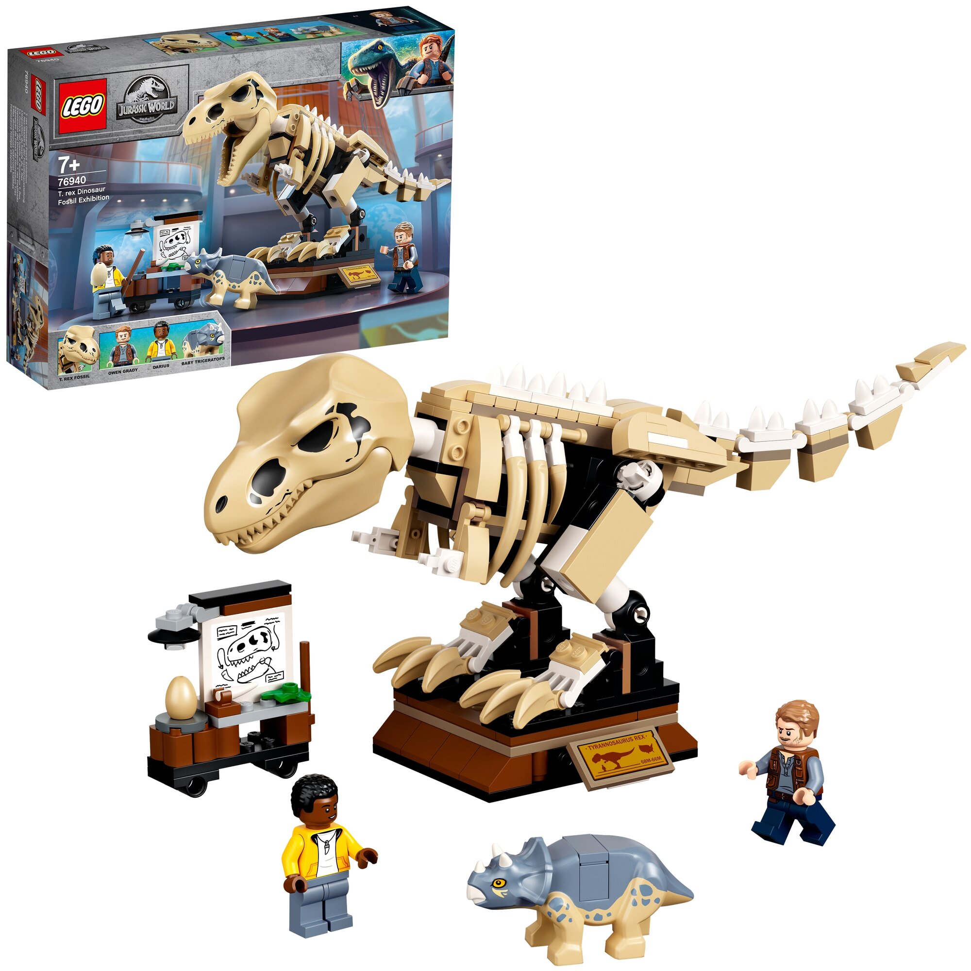 Конструктор LEGO Jurassic World Скелет тираннозавра на выставке - фото №3