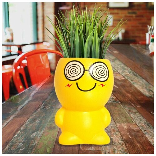 Фитоник Potted plants Smile Crazy 126500₽