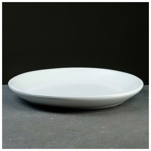 Поддон для горшка 6 л D24 см подходит к кашпо 7л 8л белый 498₽