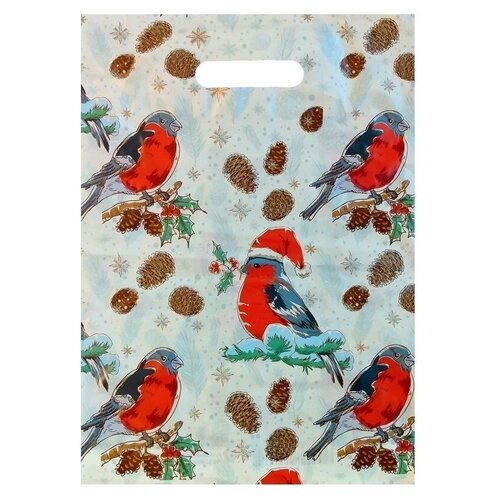 Пакет с вырубной ручкой, 30х40 см 35 мкм 