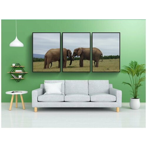 фото Набор модулных постеров для интерьера "слоны, дружба, толстокожий" 60x90 см. в тубусе, без рамки lotsprints