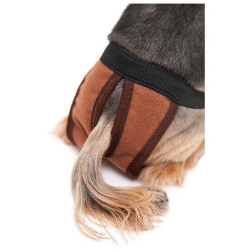 Трусы для собак многоразовые OSSO Fashion, р.XL (талия 40-58,глубина 47) цвет коричневый