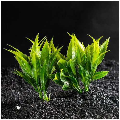 фото Набор растений искусственных для аквариума (2 шт), 11,5 см пижон aqua