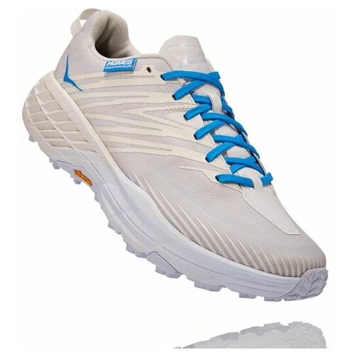 Кроссовки мужские Hoka Speedgoat 4