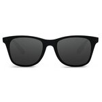 Солнцезащитные очки Xiaomi Turok Steinhardt hipster traveler (STR004-0120) - изображение