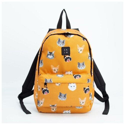 Рюкзак, отдел на молнии, наружный карман, цвет оранжевый, «Коты»