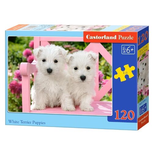 Пазл Castorland White terrier puppies (B-13494), 120 дет., разноцветный пазл castorland cinderella b 13395 120 дет разноцветный