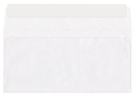 Конверты Е65, комплект 1000 шт., отрывная полоса STRIP, белые, 110х220 мм РОДИОН ПРИНТ - фото №3