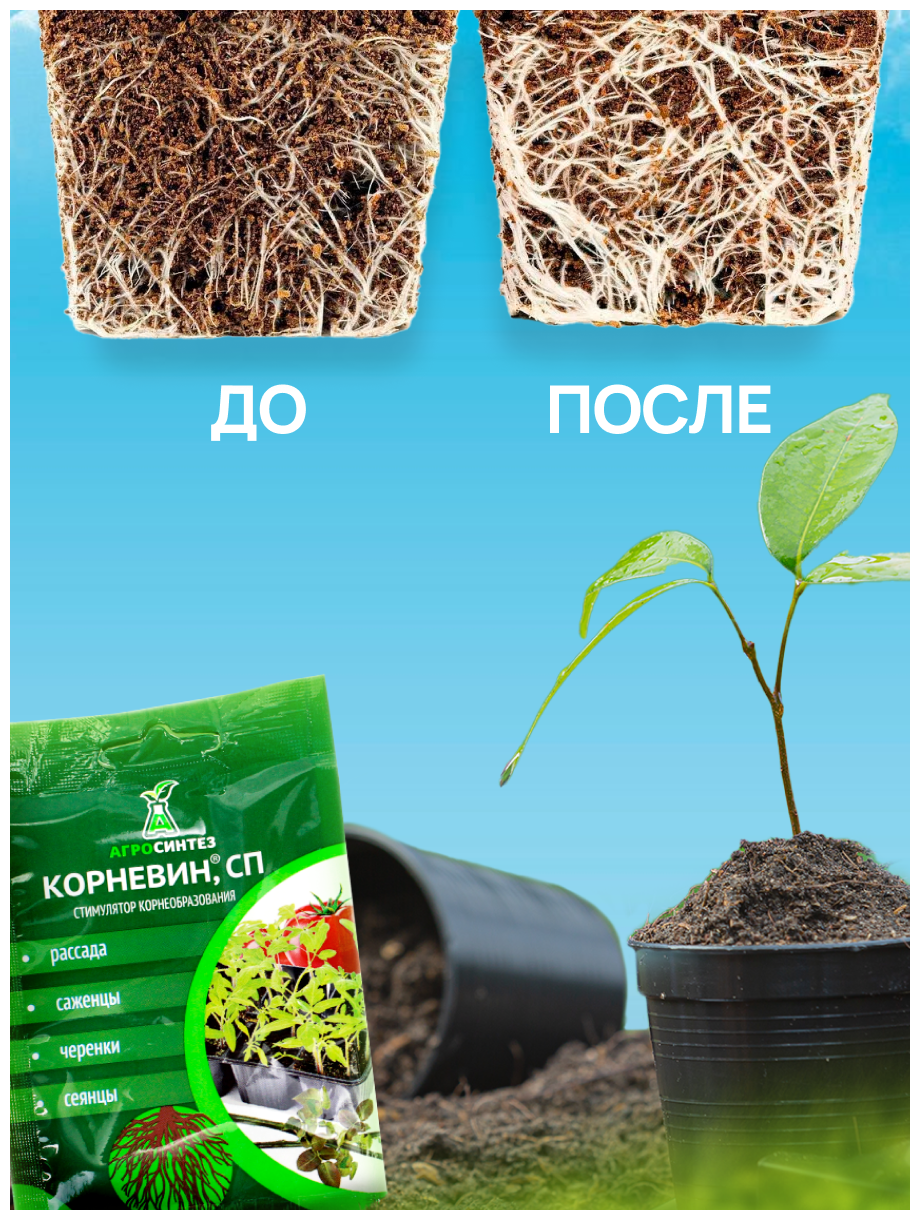 Корневин для растений, удобрение стимулятор для роста - фотография № 4