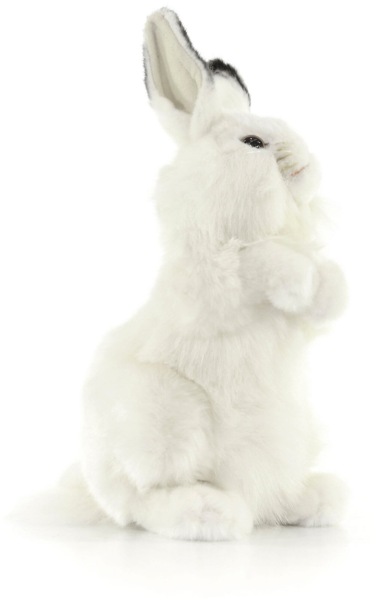 Hansa Creation "Белый кролик, 32 см - 3313" - мягкие игрушки - фото №20