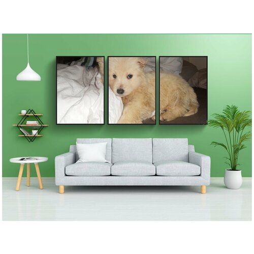 фото Набор модулных постеров для интерьера "собака, домашние питомцы, щенки" 60x90 см. в тубусе, без рамки lotsprints