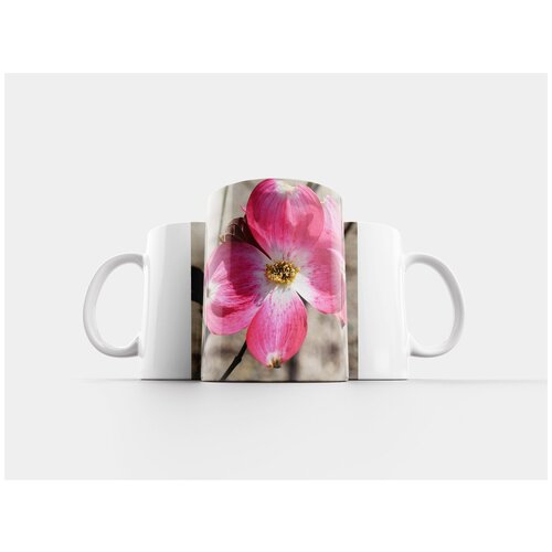 фото Кружка "кизил цветок, цветок, цвести" 320 мл lotsprints