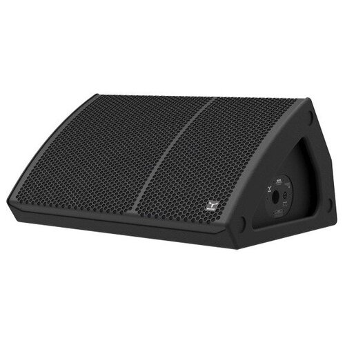 Монитор сценический пассивный MOOSE M12 8309000₽