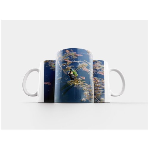 фото Кружка "стрекоза, вода, насекомое" 320 мл lotsprints