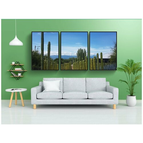 фото Набор модулных постеров для интерьера "сады мексика, мексика, площадка" 60x90 см. в тубусе, без рамки lotsprints