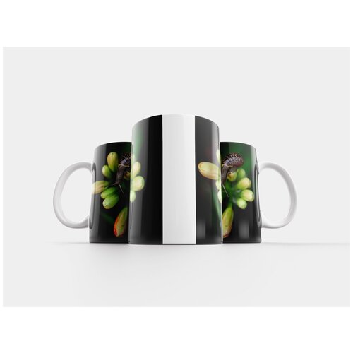 фото Кружка "природа, улитка, на открытом воздухе" 320 мл lotsprints