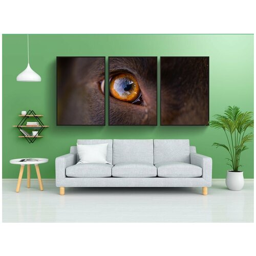 фото Набор модулных постеров для интерьера "собака, глаз, апельсин" 60x90 см. в тубусе, без рамки lotsprints