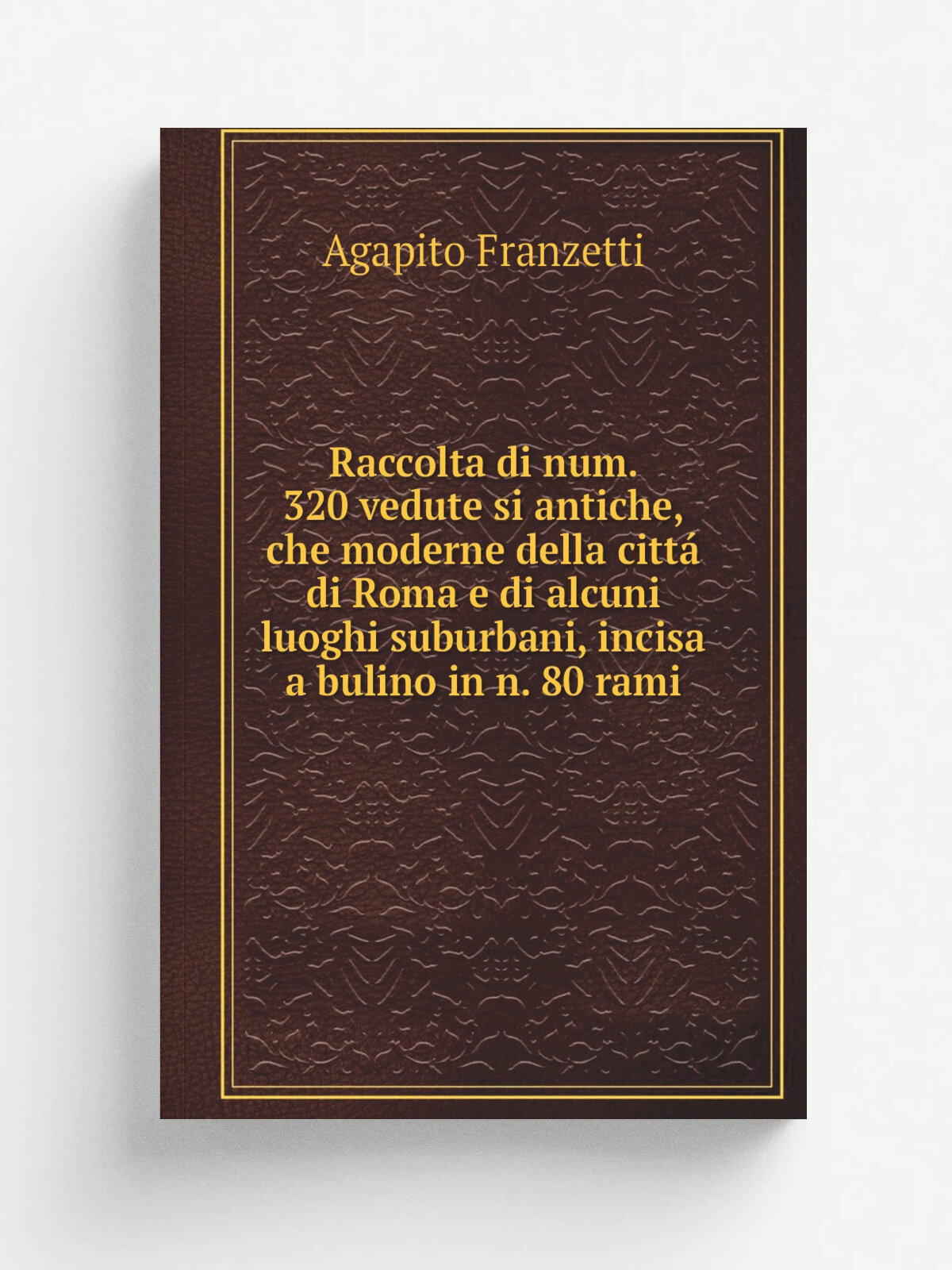 Raccolta di num. 320 vedute si antiche, che moderne della citt. di Roma e di alcuni luoghi suburbani, incisa a bulino in n. 80 rami | Agapito Franzet…