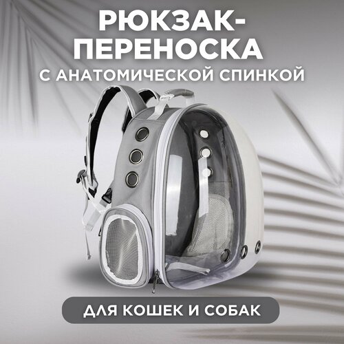 Переноска