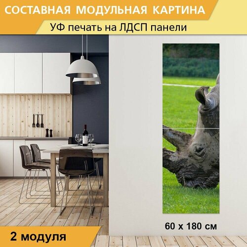 Модульная картина 