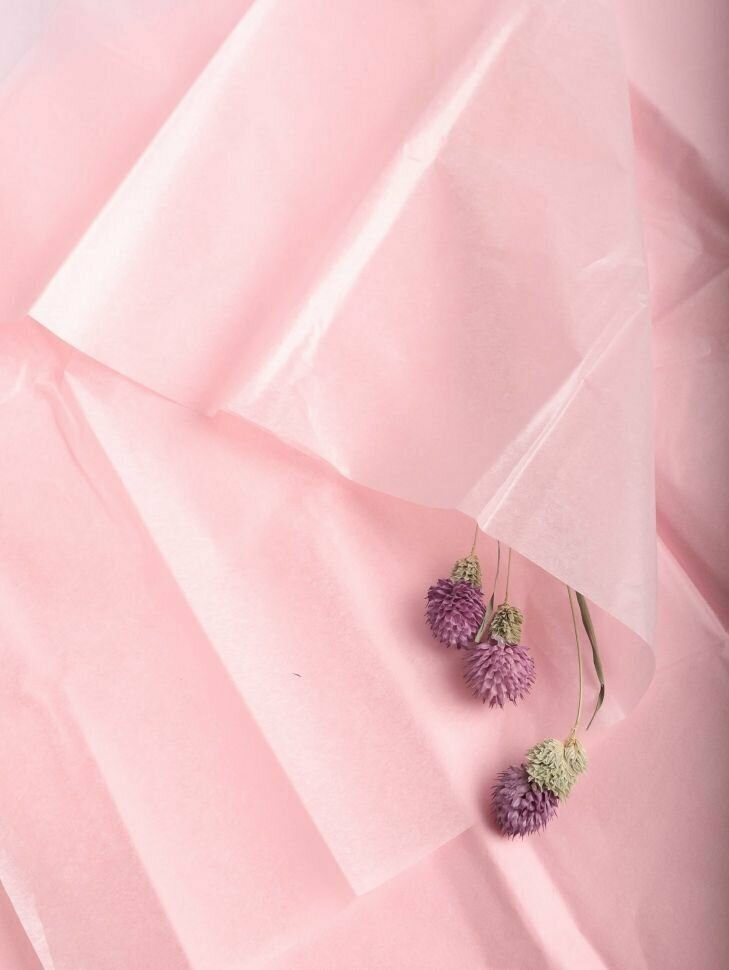 фото Бумага тишью упаковочная 10 листов 50х66см